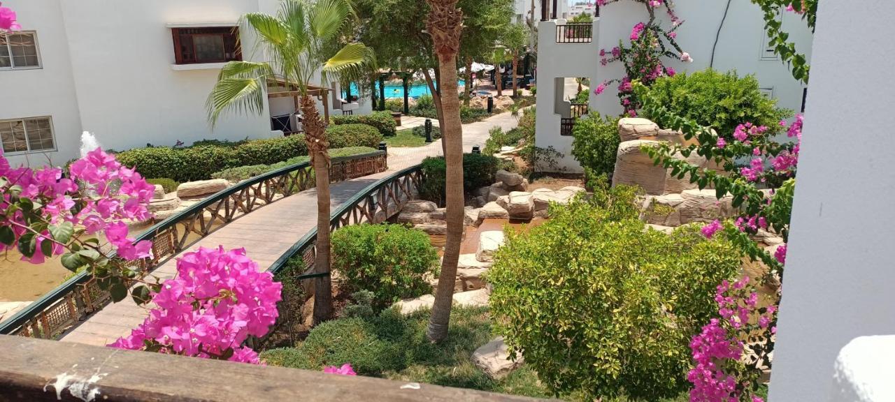 Deluxe Apartment Delta Sharm Exteriér fotografie